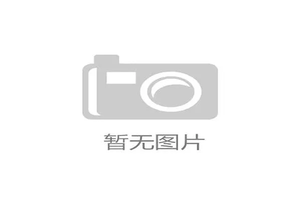 阵容兼具经验与活力，核心骨干的大赛经验是巴拉圭宝贵的财富。